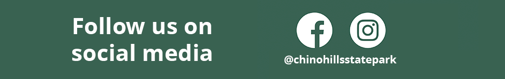 Social Media Links